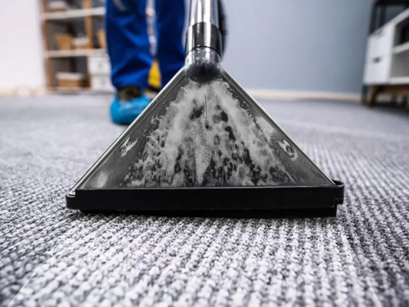 Carpet Steam Cleaning