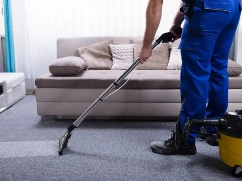 Carpet & Upholstery Carpet & Upholstery