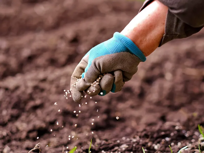 Fertilising & Soil Care Fertilising & Soil Care