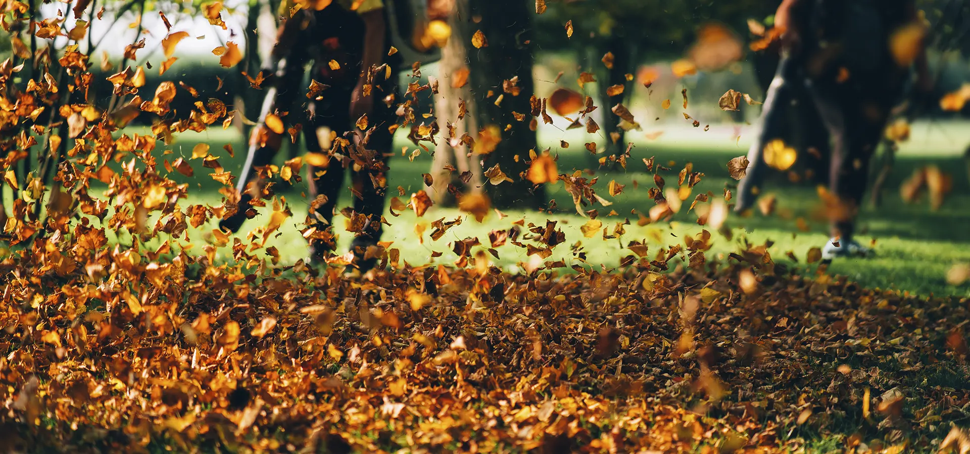 Garden Maintenance