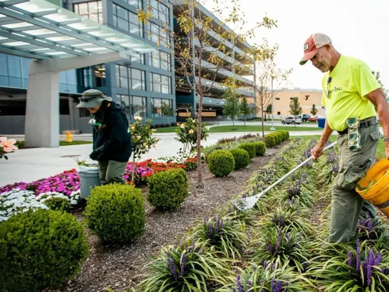 Garden Maintenance 