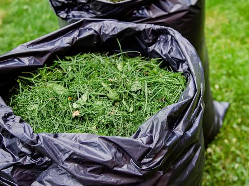 Green Waste Removal Green Waste Removal