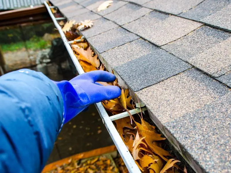 Gutter & Roof Cleaning 