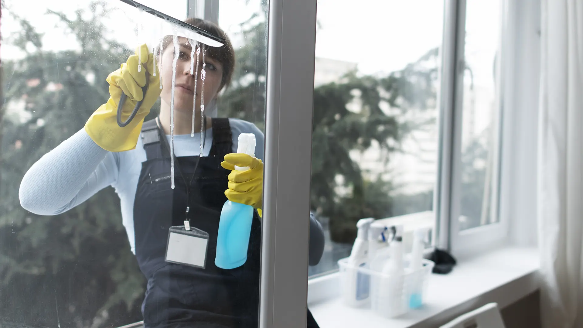 House Cleaning 
