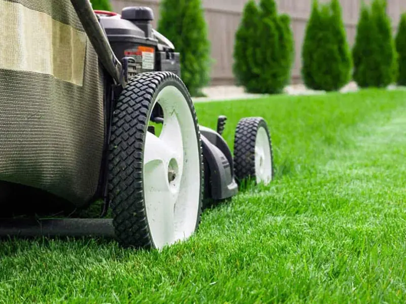 Lawn Mowing & Edging Lawn Mowing & Edging
