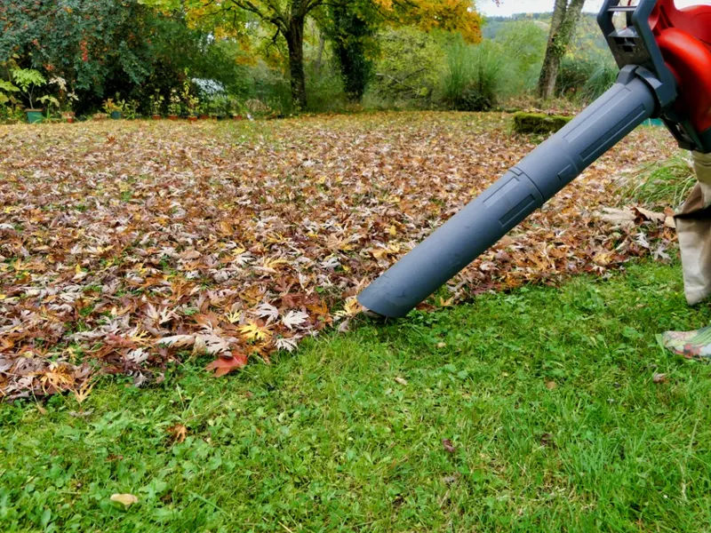 Leaf Clearing & Tidying Leaf Clearing & Tidying