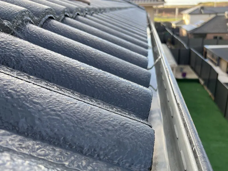 Roof & Gutter Cleaning