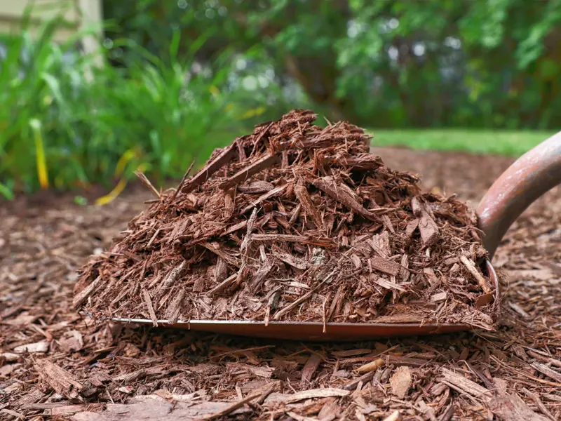 Weeding & Mulching Weeding & Mulching